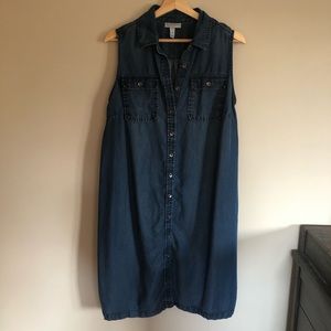 Liz Lange Denim Maternity Dress